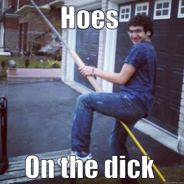 HOES ON THE DICK Misc