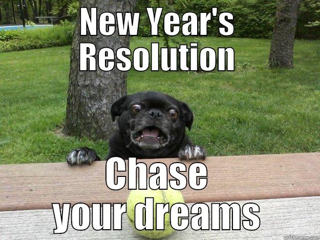 NEW YEAR'S RESOLUTION CHASE YOUR DREAMS Berks Dog