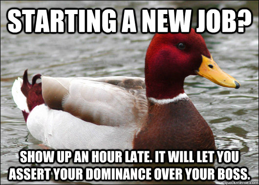 Starting A new job? Show up an hour late. It will let you assert your dominance over your boss. - Starting A new job? Show up an hour late. It will let you assert your dominance over your boss.  Malicious Advice Mallard