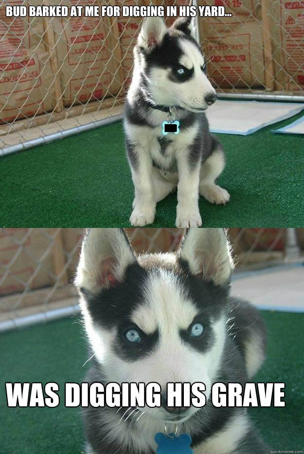 Bud barked at me for digging in his yard... was digging his grave  Insanity puppy