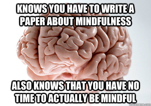 Knows you have to write a paper about mindfulness also knows that you have no time to actually be mindful  Scumbag Brain