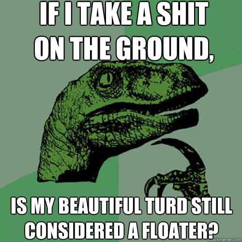 if i take a shit on the ground, is my beautiful turd still considered a floater? - if i take a shit on the ground, is my beautiful turd still considered a floater?  Philosoraptor