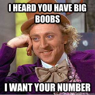 I heard you have big boobs I want your number  Condescending Wonka