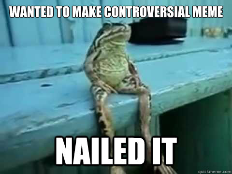 Wanted to make controversial meme nailed it  SITTING FROG
