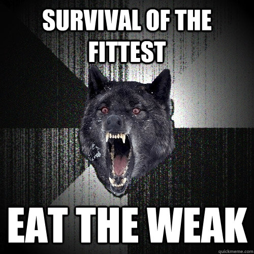 SURVIVAL OF THE FITTEST EAT THE WEAK  Insanity Wolf