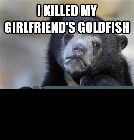 I killed my girlfriend's goldfish because Our sex is always better when she's sad  Confession Bear