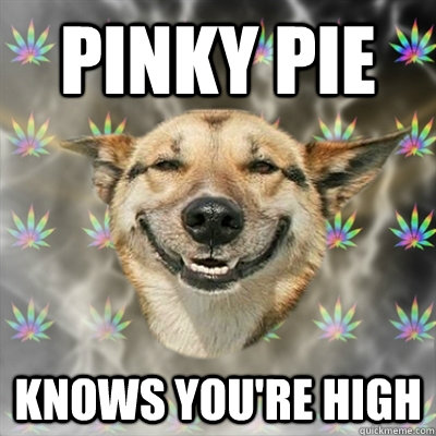 PINKY PIE knows you're high  Stoner Dog
