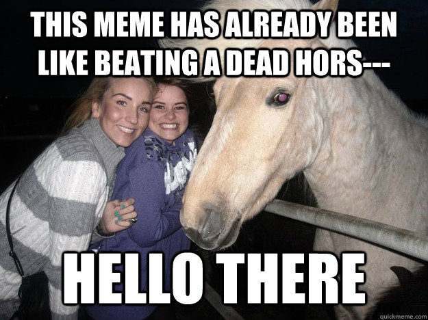 This meme has already been like beating a dead hors--- hello there  Ridiculously Photogenic Horse