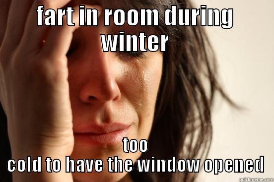 FART IN ROOM DURING WINTER TOO COLD TO HAVE THE WINDOW OPENED First World Problems