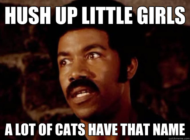 hush up little girls a lot of cats have that name - hush up little girls a lot of cats have that name  First World Pimp Problems