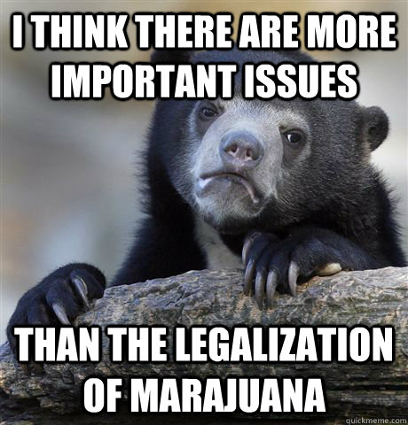 I think there are more important issues than the legalization of marajuana  Confession Bear