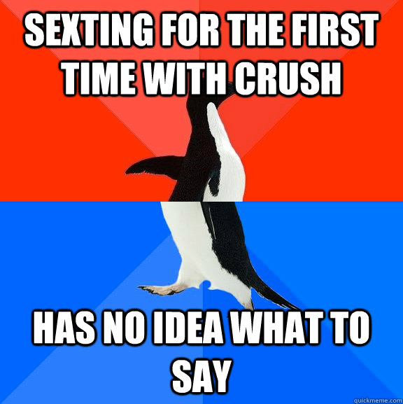 Sexting for the first time with crush Has no idea what to say  Socially Awesome Awkward Penguin
