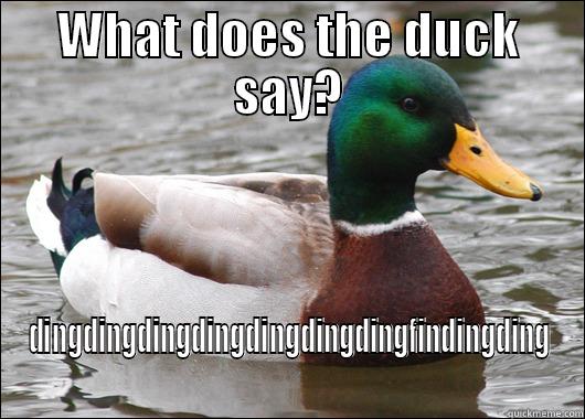 WHAT DOES THE DUCK SAY? DINGDINGDINGDINGDINGDINGDINGFINDINGDING Actual Advice Mallard