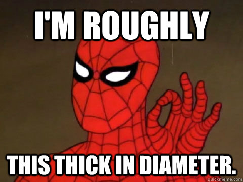 I'm roughly this thick in diameter. - I'm roughly this thick in diameter.  One does not Simply Spiderman