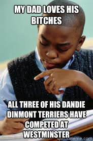 My dad loves his bitches all three of his Dandie Dinmont Terriers have competed at westminster  Succesful Black Mans son