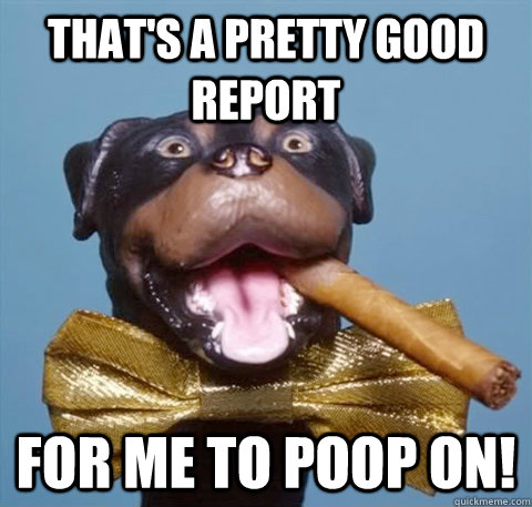 that's a pretty good report for me to poop on! - that's a pretty good report for me to poop on!  triumph the insult comic dog