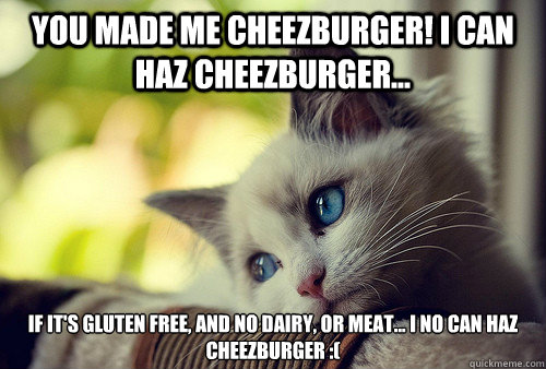 You made me cheezburger! I can haz cheezburger... if it's gluten free, and no dairy, or meat... I no can haz cheezburger :(  First World Problems Cat
