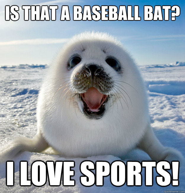 Is that a baseball bat? I LOVE SPORTS!  