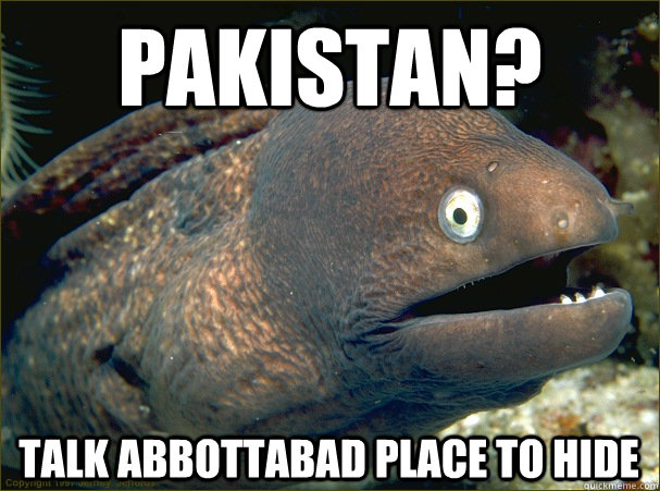 Pakistan? talk abbottabad place to hide  Bad Joke Eel