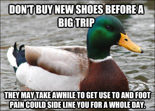 Don't buy new shoes before a  big trip They may take awhile to get use to and foot pain could side line you for a whole day.  Actual Advice Mallard