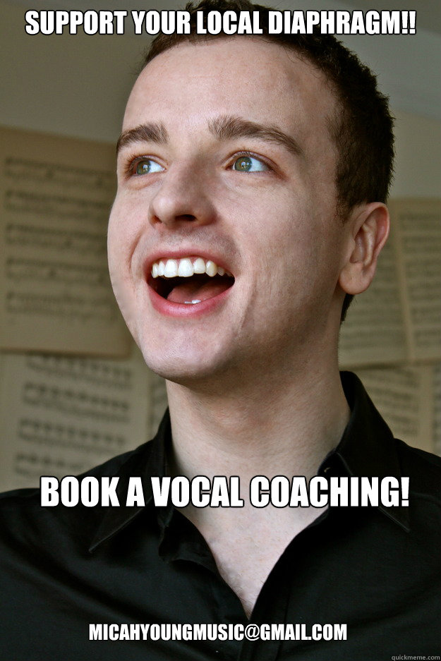Support your local diaphragm!! Book a vocal coaching! micahyoungmusic@gmail.com micahyoungmusic@gmail.com  