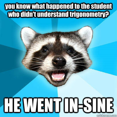 you know what happened to the student who didn't understand trigonometry? HE WENT IN-SINE  Lame Pun Coon
