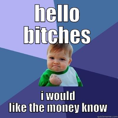 HELLO BITCHES I WOULD LIKE THE MONEY KNOW Success Kid