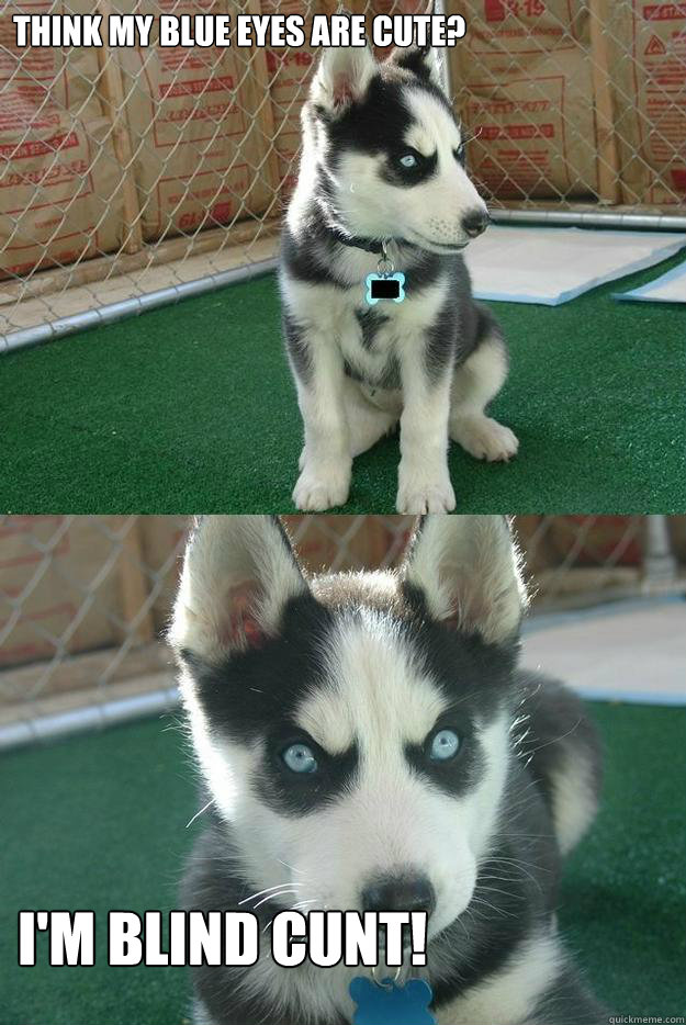 Think my blue eyes are cute? i'm blind cunt!  Insanity puppy