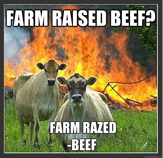 Farm Raised Beef?  Farm Razed
-Beef  Evil cows