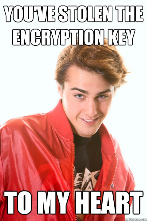 You've stolen the encryption key to my heart  