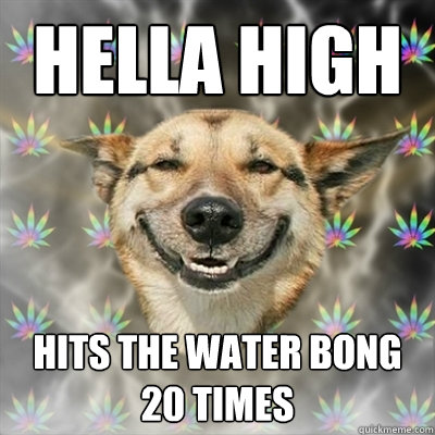 hella high hits the water bong 20 times   Stoner Dog