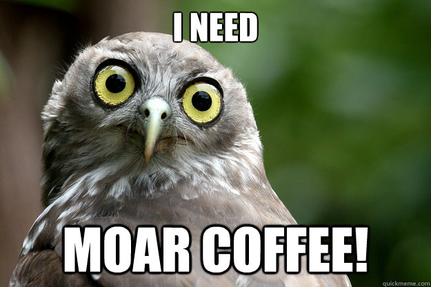 I need MOAR COFFEE!  coffee owl