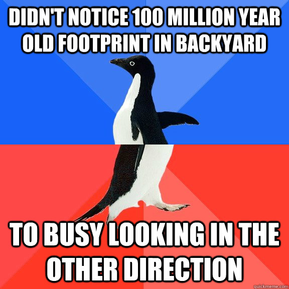 Didn't notice 100 million year old footprint in backyard To busy looking in the other direction  Socially Awkward Awesome Penguin