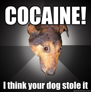 COCAINE! I think your dog stole it  Depression Dog