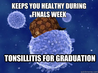 keeps you healthy during finals week tonsillitis for graduation  Scumbag immune system