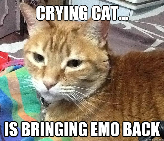 Crying cat... is bringing emo back  