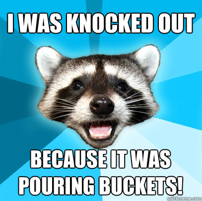 I was knocked out because it was pouring buckets!  Lame Pun Coon