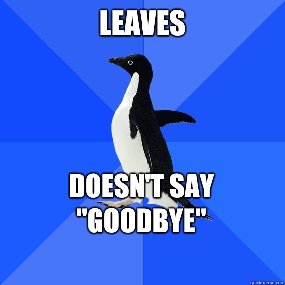 Leaves Doesn't say 
