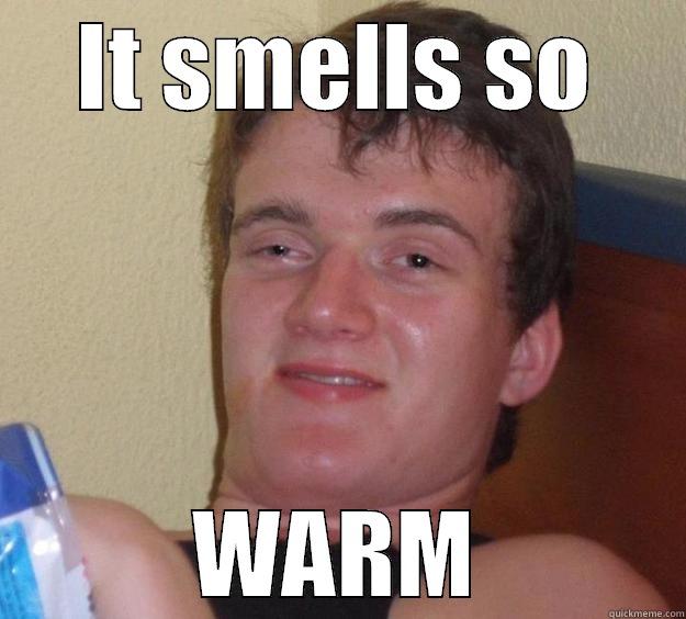 IT SMELLS SO WARM 10 Guy