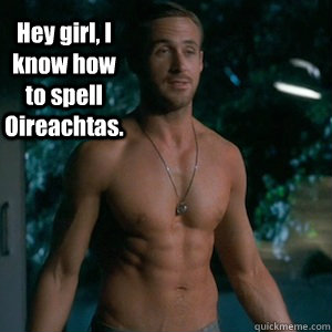 Hey girl, I know how to spell Oireachtas.   