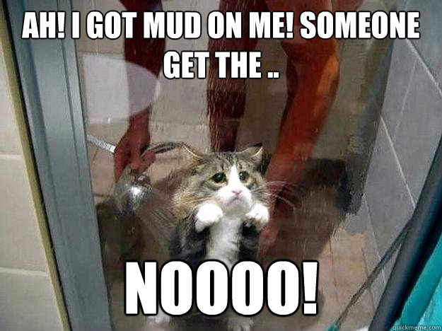 Ah! I got mud on me! Someone get the .. NOOOO!  Shower kitty