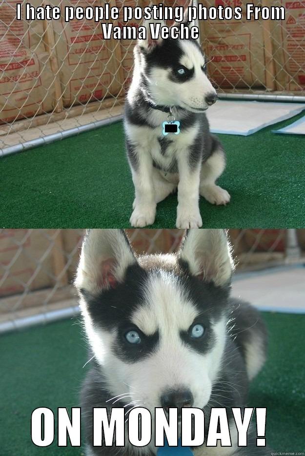 I HATE PEOPLE POSTING PHOTOS FROM VAMA VECHE ON MONDAY! Insanity puppy