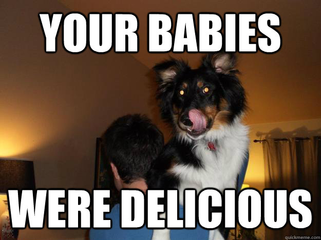 Your babies were delicious  Satisfied Dog