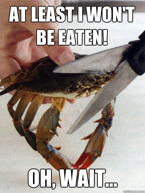 At least I won't be eaten! Oh, wait...  Optimistic Crab
