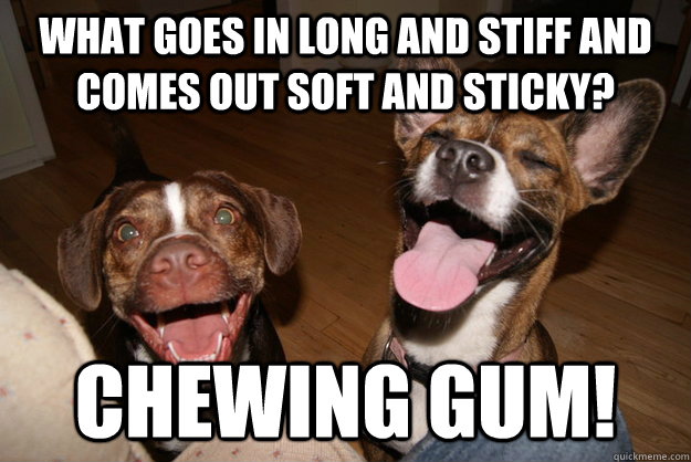 What goes in long and stiff and comes out soft and sticky? chewing gum! - What goes in long and stiff and comes out soft and sticky? chewing gum!  Clean Joke Puppies