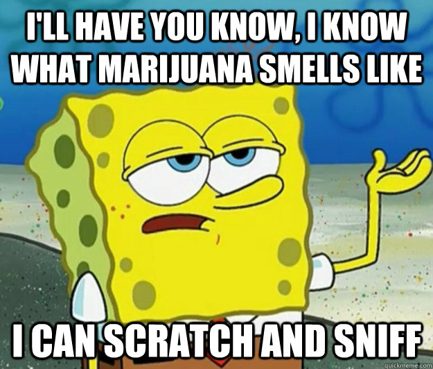 I'll have you know, I know what marijuana smells like I can scratch and sniff  Tough Spongebob