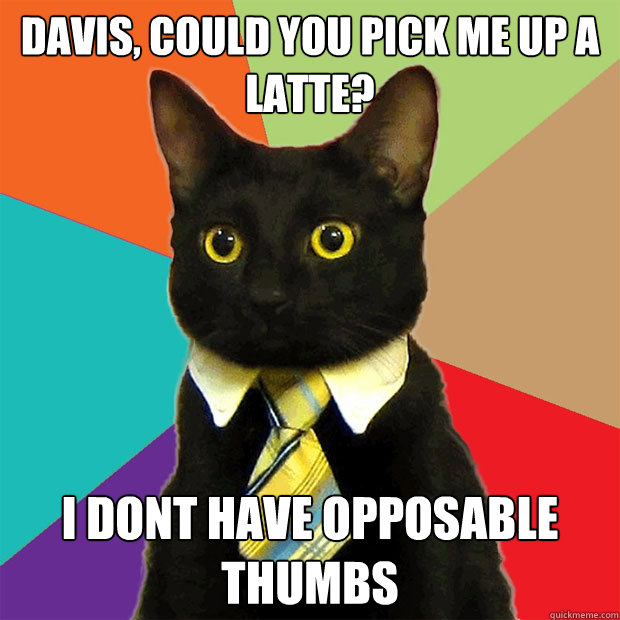 Davis, could you pick me up a latte? I dont have opposable thumbs  Business Cat
