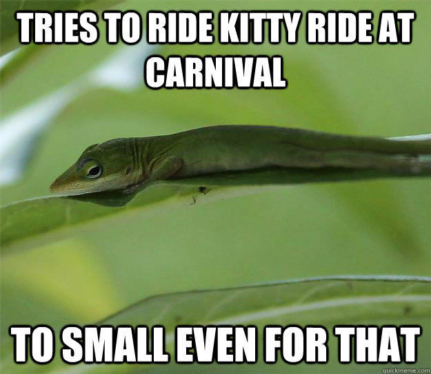 TRIES TO RIDE KITTY RIDE AT CARNIVAL TO SMALL EVEN FOR THAT  