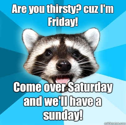 Are you thirsty? cuz I'm Friday! Come over Saturday and we'll have a sunday! - Are you thirsty? cuz I'm Friday! Come over Saturday and we'll have a sunday!  Lame Pun Coon