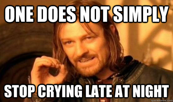 One does not simply stop crying late at night  